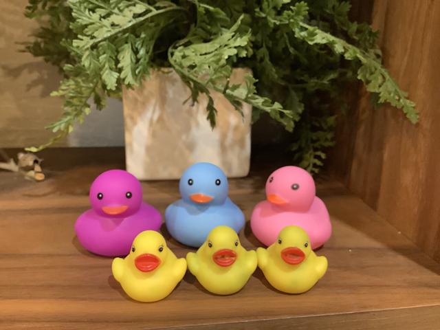 カメ仙人のアバター