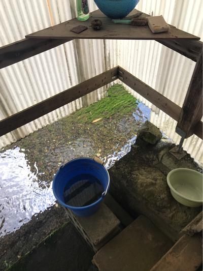 かばたのある家を鑑定しました