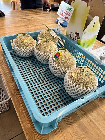 あいとうメロン