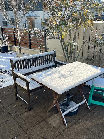 朝から親知らずが痛くなり