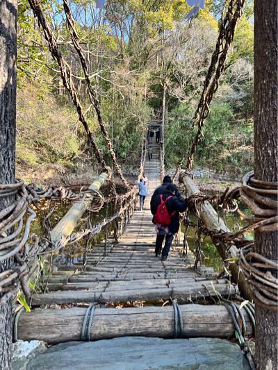 かずら橋と民家博物館