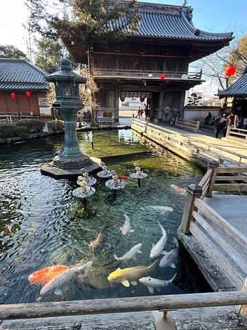 初詣~四国一番霊山寺