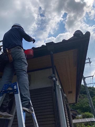 屋根登ってみたら