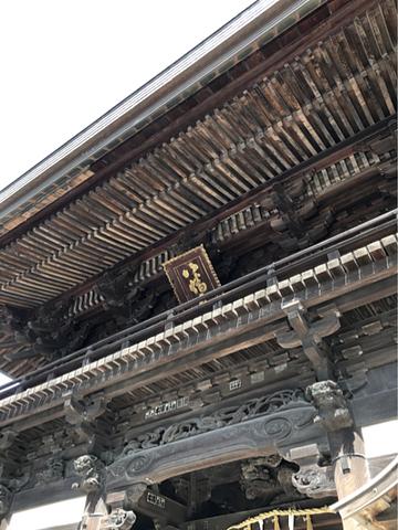 近江八幡は春本番暖かさ