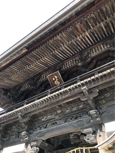 近江八幡は春本番暖かさ