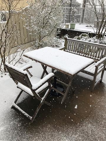 定期健診行ってきました。