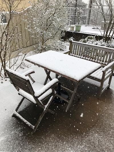 定期健診行ってきました。