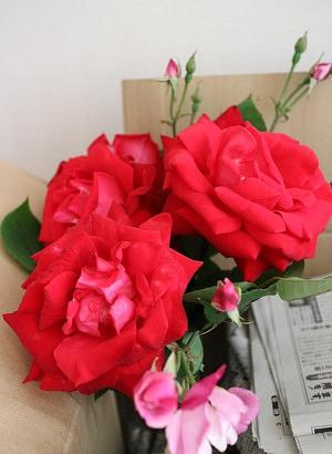 バラの塩ポプリ