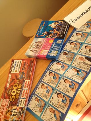 ポケットガイドと割引券