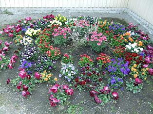 まぼろしでなくて？？？