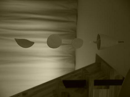 私も信楽へ！！