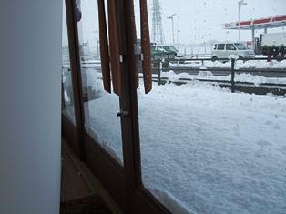 降りましたね～