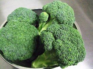 ブロッコリー