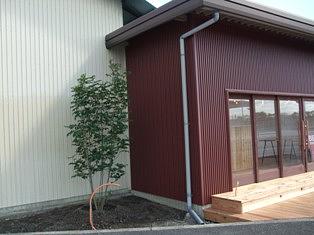 シンボルツリー