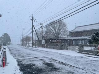 雪が積もってきました。