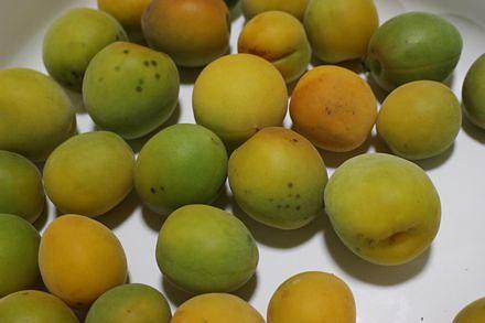 梅干し作りをしました～(^^♪