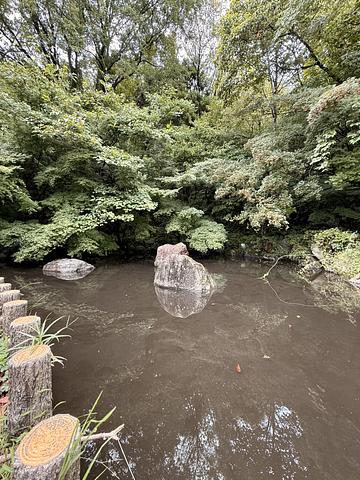 せせらぎの道