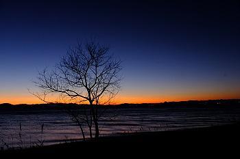 夜明けとしぶき氷