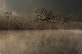 今日の朝景と元服式