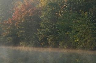 甲賀市で朝撮影~