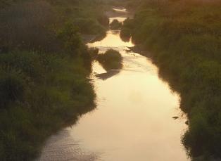 今朝は草津川で＾＾