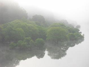 霧の朝