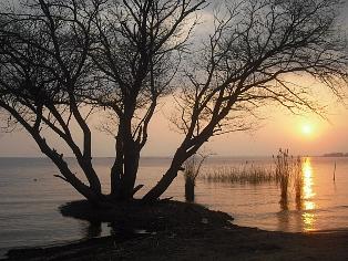 今日の朝日とphoto更新