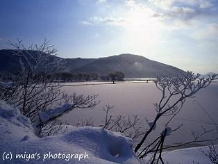 明けましておめでとうございます