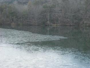 今日の朝景とphoto更新