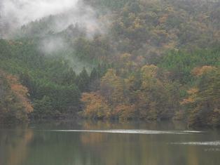 紅葉とphoto更新