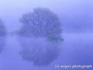 サイトphoto更新しました^o^