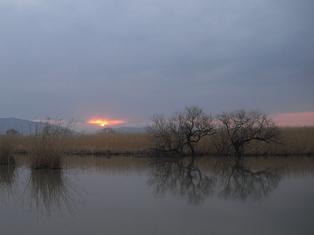 今日の朝景＾＾