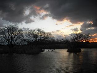 初撮りは初日の出♪