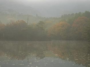 甲賀の池＾ｏ＾