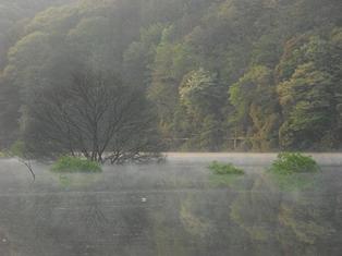 朝景とphoto更新