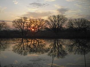 今年初の桜撮影とphoto更新＾＾