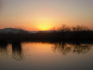 近江八幡から朝景