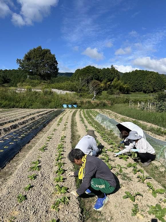 仰木の里サポーターさん