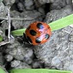 仰木地域共生協議会