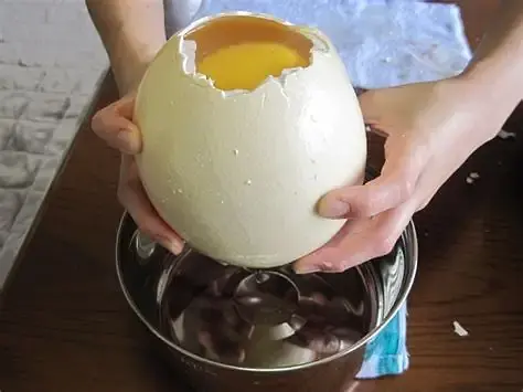 駝鳥の玉子焼き