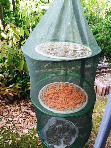 作り置きより干し野菜⁉︎