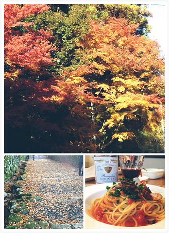 ボージョレヌーボー