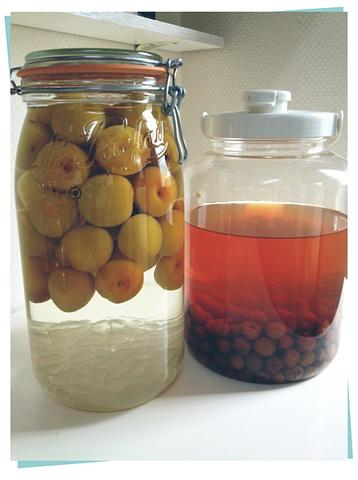 梅酒をつけました♪