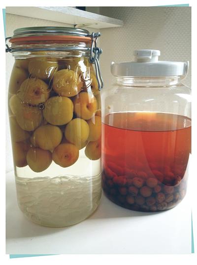 梅酒をつけました♪