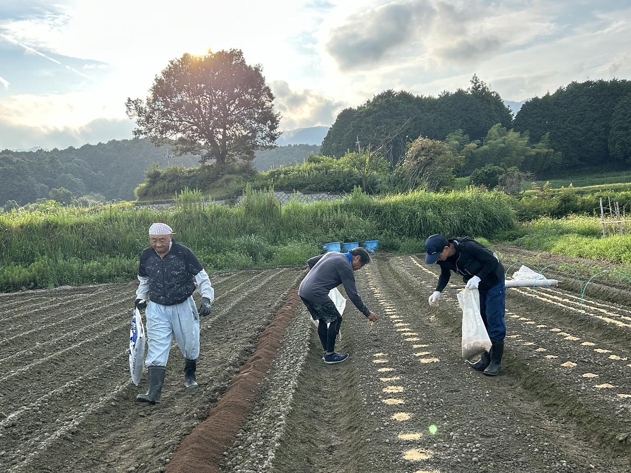 仰木地域共生協議会