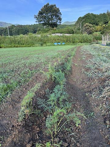 仰木地域共生協議会の画像