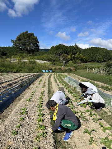 仰木地域共生協議会の画像