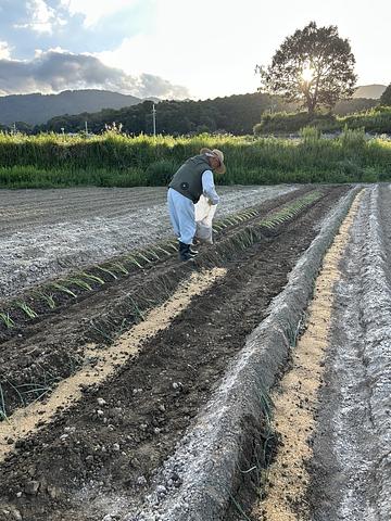 仰木地域共生協議会の画像