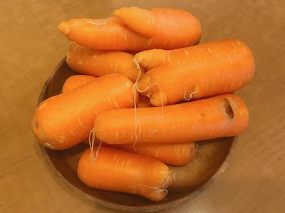 今年度のセミナー全終了！