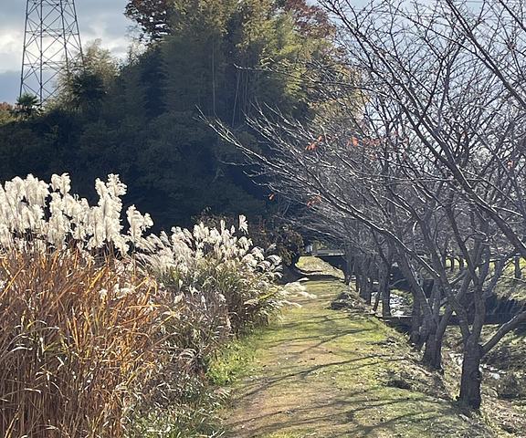 げじげじへ引っ越し